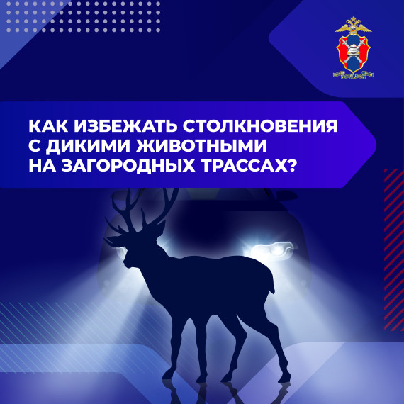 Дикие животные. Дикие животные.